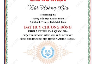 CHÚC MỪNG HỌC SINH ĐẠT THÀNH TÍCH XUẤT SẮC TẠI KỲ THI IOE CẤP QUỐC GIA NĂM HỌC 2025–2026